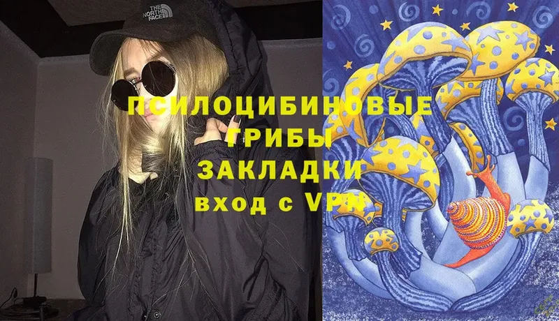 Псилоцибиновые грибы Cubensis  hydra зеркало  Покровск 